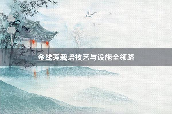 金线莲栽培技艺与设施全领路