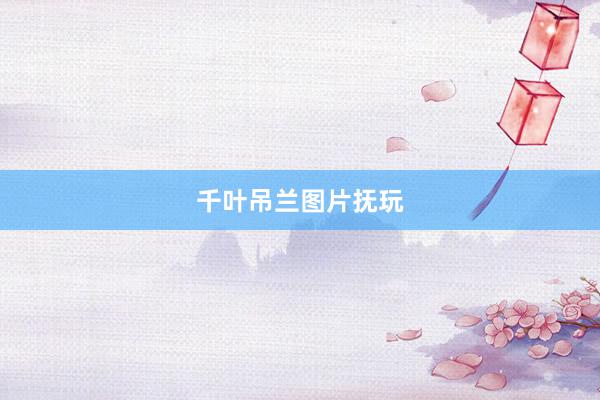 千叶吊兰图片抚玩