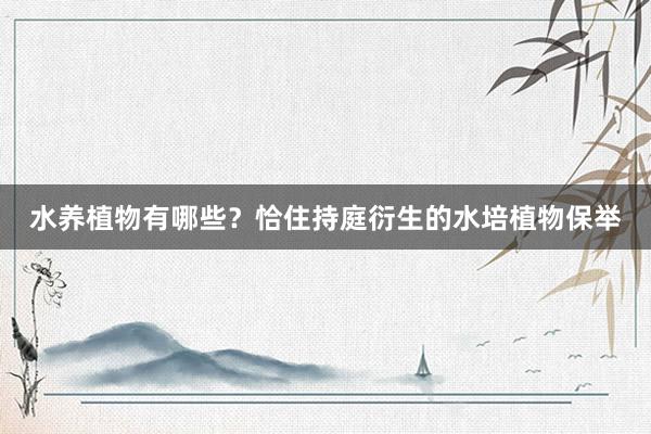 水养植物有哪些？恰住持庭衍生的水培植物保举